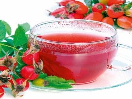 Шиповник для профилактики гриппа и простуды