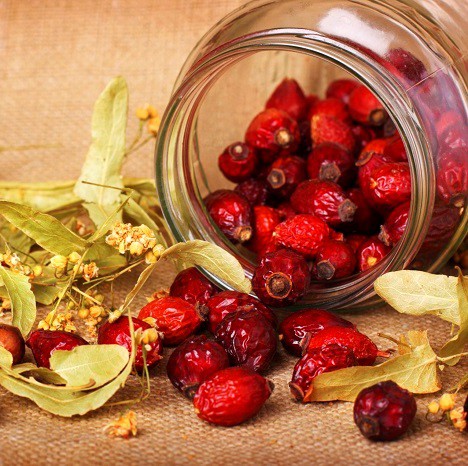 поможет ли при простуде шиповник - продукт с высоким содержанием витамина С