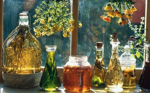 природные иммуномодуляторы