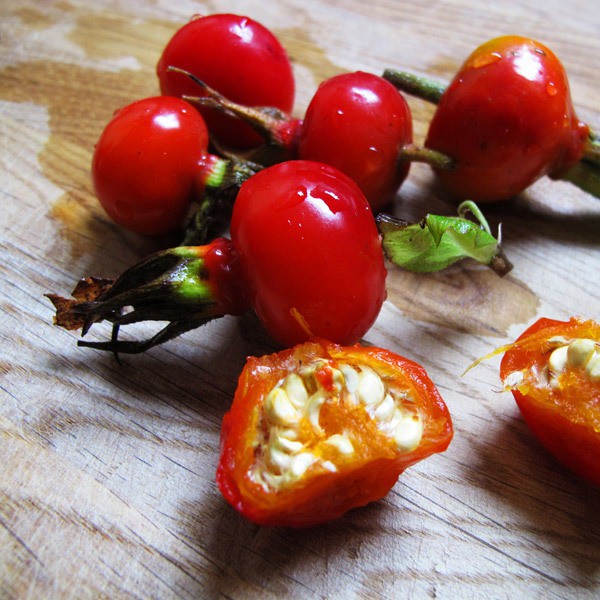 аскорбиновая кислота при первых признаках простуды аскорбиновая кислота при первых признаках простуды